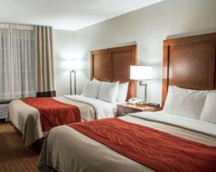 Carbondale Hotel | Comfort Inn & Suites Carbondale on the Roaring Fork