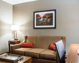 Carbondale Hotel | Comfort Inn & Suites Carbondale on the Roaring Fork