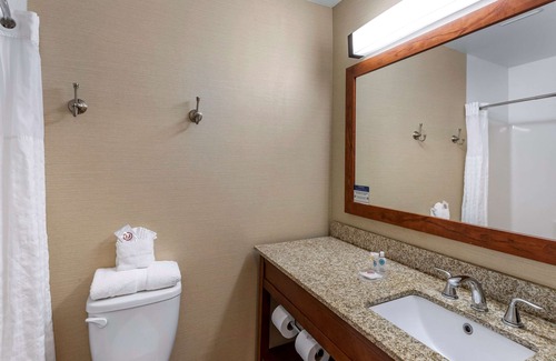 Carbondale Hotel | Comfort Inn & Suites Carbondale on the Roaring Fork