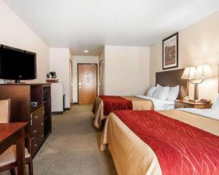 Creswell Hotel | Comfort Inn & Suites Creswell
