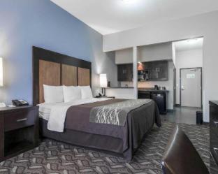 Biggs Field Hotel | Comfort Inn & Suites El Paso I-10 Airport Area
