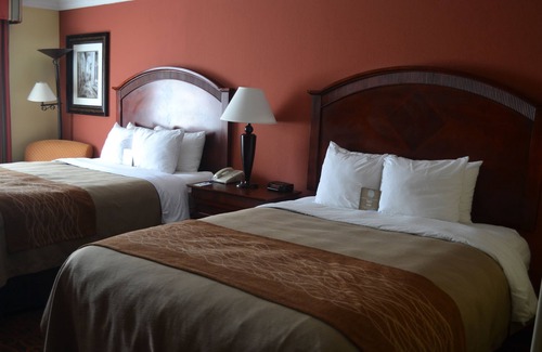 Barker Hotel | Comfort Inn & Suites Houston Key-Katy