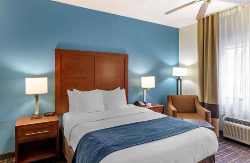 Lee's Summit Hotel | Comfort Inn & Suites Lees Summit - Kansas City