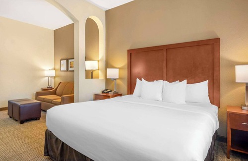 St. Petersburg - Clearwater Hotel | Comfort Inn & Suites Northeast - Gateway