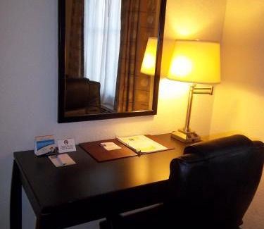 St. Petersburg - Clearwater Hotel | Comfort Inn & Suites Northeast - Gateway