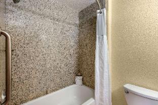 St. Petersburg - Clearwater Hotel | Comfort Inn & Suites Northeast - Gateway