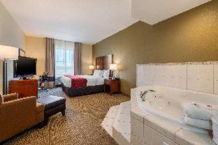St. Petersburg - Clearwater Hotel | Comfort Inn & Suites Northeast - Gateway