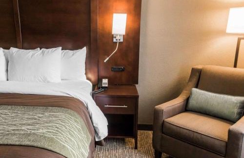 Pharr Hotel | Comfort Inn & Suites Pharr - McAllen