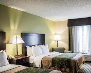 Clearwater Hotel | Comfort Inn & Suites St Pete - Clearwater International Airport