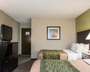 Clearwater Hotel | Comfort Inn & Suites St Pete - Clearwater International Airport