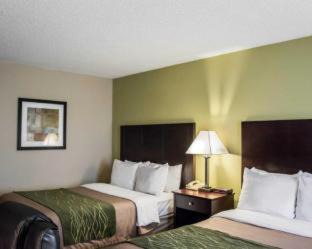 Clearwater Hotel | Comfort Inn & Suites St Pete - Clearwater International Airport