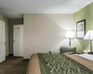 Clearwater Hotel | Comfort Inn & Suites St Pete - Clearwater International Airport