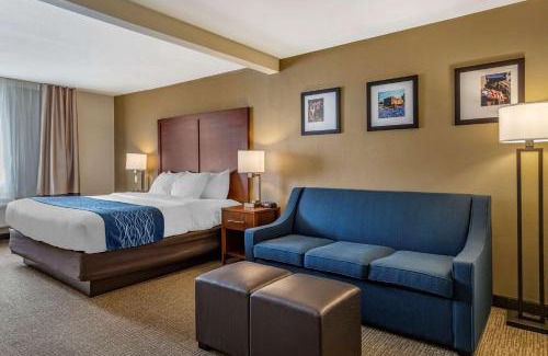 Boerne Hotel | Comfort Inn & Suites Texas Hill Country