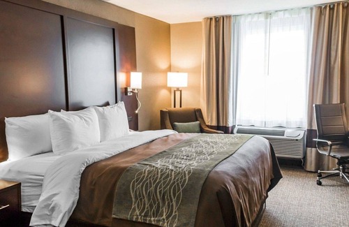 Pharr Hotel | Comfort Inn & Suites