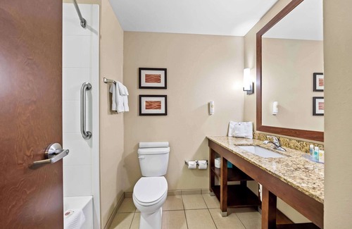 Rochester Hotel | Comfort Inn & Suites West - Medical Center