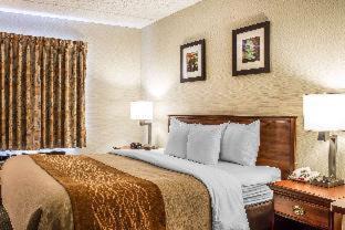 Wilkes-Barre Hotel | Comfort Inn & Suites Wilkes Barre - Arena
