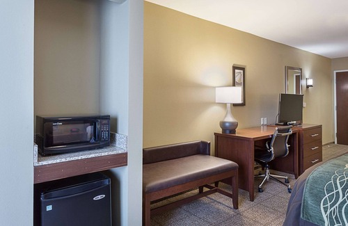Zachary Hotel | Comfort Inn & Suites Zachary