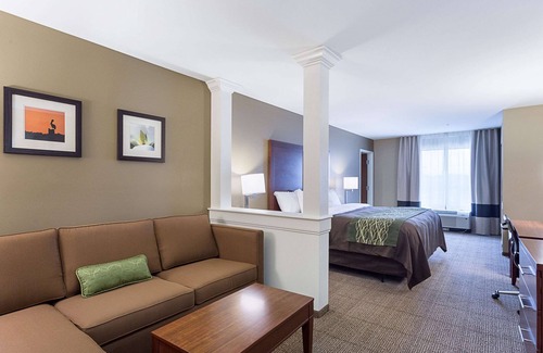 Zachary Hotel | Comfort Inn & Suites Zachary