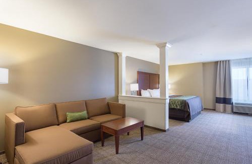 Zachary Hotel | Comfort Inn & Suites Zachary