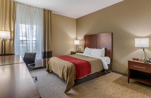 Walcott Hotel | Comfort Inn Walcott near Davenport