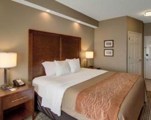 West Monroe Hotel | Comfort Inn West Monroe near Sports & Events Center