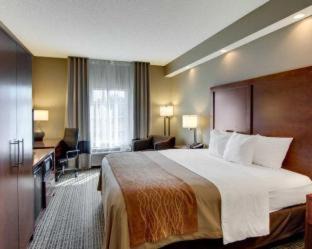 West Monroe Hotel | Comfort Inn West Monroe near Sports & Events Center