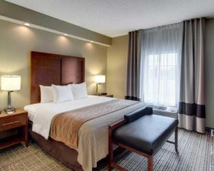 West Monroe Hotel | Comfort Inn West Monroe near Sports & Events Center