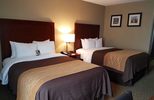 Wethersfield Hotel | Comfort Inn Wethersfield - Hartford