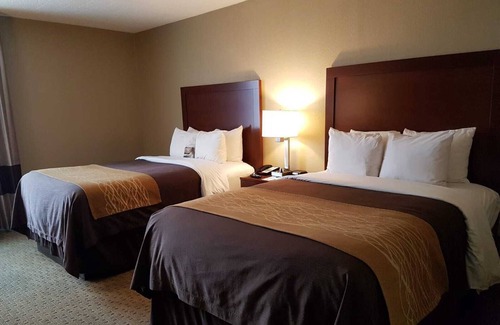 Wethersfield Hotel | Comfort Inn Wethersfield - Hartford