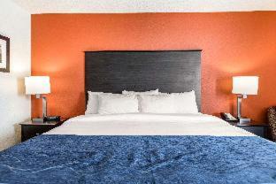 Kalamazoo Hotel | Comfort Inn Wings Stadium