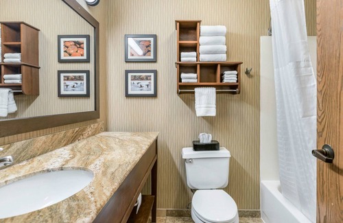 Kalamazoo Hotel | Comfort Inn Wings Stadium