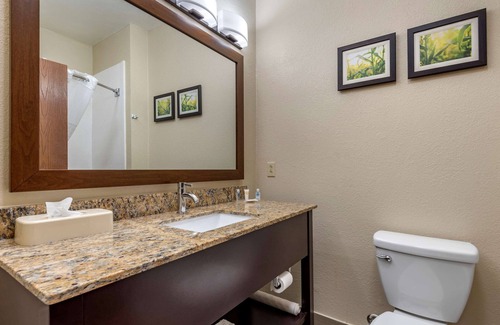 Auburn Hotel | Comfort Suites Auburn near I-69