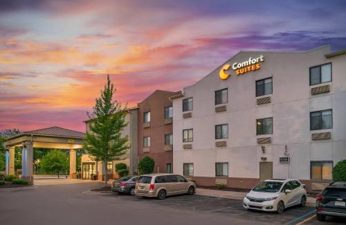 Auburn Hills Hotel | Comfort Suites Auburn Hills-Detroit