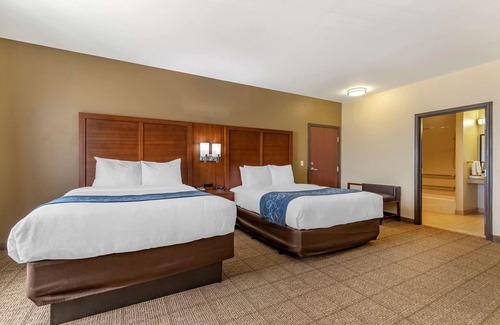 Buda Hotel | Comfort Suites Buda - Austin South
