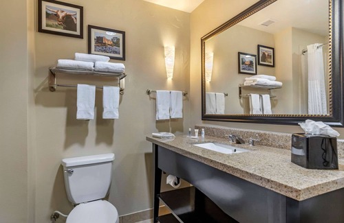 Buda Hotel | Comfort Suites Buda - Austin South