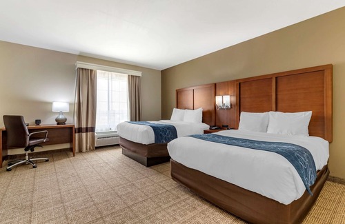 Buda Hotel | Comfort Suites Buda - Austin South