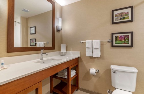 Camp Hill Hotel | Comfort Suites Camp Hill-Harrisburg West