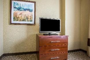 Schiller Park Hotel | Comfort Suites Chicago O'Hare Airport