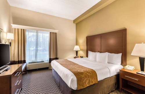 Waterloo Hotel | Comfort Suites Columbia Gateway