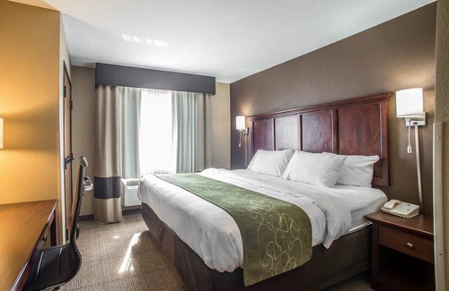 Columbia Hotel | Comfort Suites Columbia - University Area
