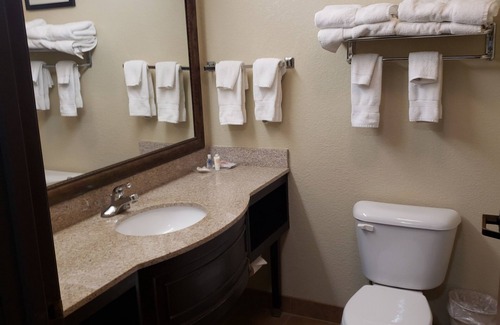 Columbia Hotel | Comfort Suites Columbia - University Area