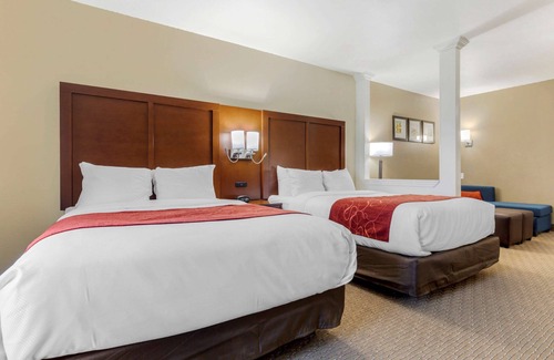 Copperas Cove Hotel | Comfort Suites Copperas Cove