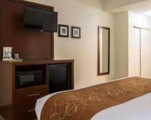 Cumming Hotel | Comfort Suites Cumming-Atlanta near Northside Hospital Forsyth