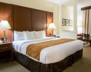 Cumming Hotel | Comfort Suites Cumming-Atlanta near Northside Hospital Forsyth