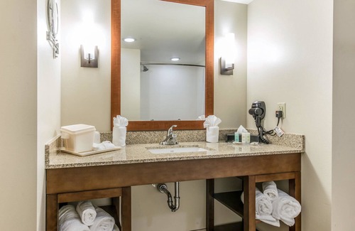 Dunnellon Hotel | Comfort Suites Dunnellon near Rainbow Springs