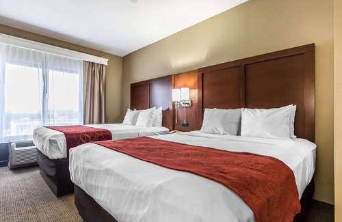 Effingham Hotel | Comfort Suites Effingham Central