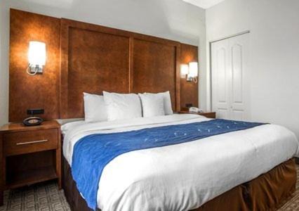Eufaula Hotel | Comfort Suites Eufaula North