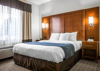 Eufaula Hotel | Comfort Suites Eufaula North