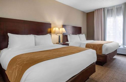 Lafayette Hotel | Comfort Suites Lafayette University Area