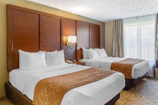 Witmer Hotel | Comfort Suites Lancaster Amish Country